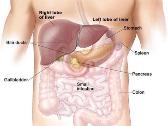 Liver Cancer treatment