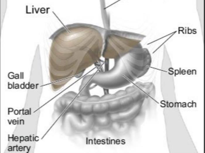 Liver Cancer treatment in India